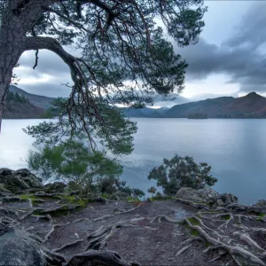 Friars Crag dawn