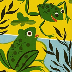 Two Frogs in a Pond