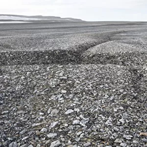 Frost cracks in the frost ground patterns in the Arctic ice desert, Zorgdragerfjord, Prins Oscars Land, Nordaustlandet, Svalbard Archipelago, Svalbard and Jan Mayen, Norway