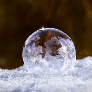 frozen bubble
