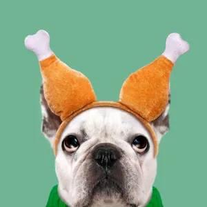 Funny dog wearing Thanksgiving turkey leg headband