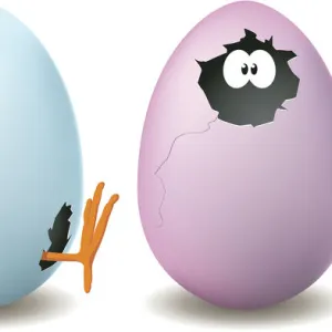 Funny Egg Illustration