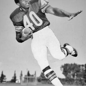 Gale Sayers of the Chicago Bears Making a Running Catch Gale Sayers of the Chicago Bears Making a Running Catch