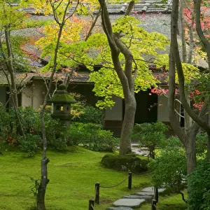 Garden detail, Kyoto, Honshu, Japan