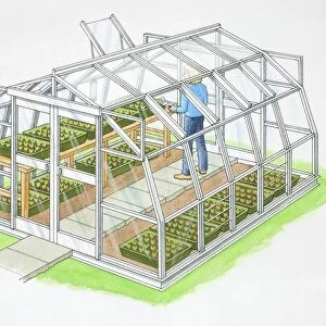Gardener inside vegetables greenhouse made of glass and metal frame, side view