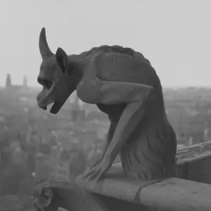 A Gargoyle Print of Notre Dame Cathedral A Gargoyle Print of Notre Dame Cathedral