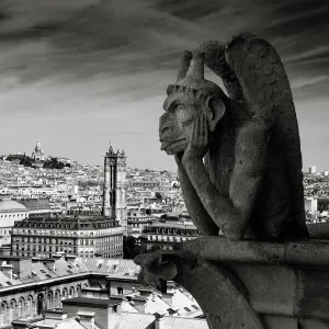 Gargoyle of the Notre Dame Cathedral, Paris, France