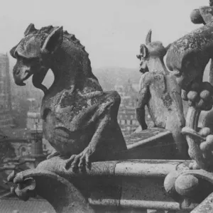 Notre Dame Gargoyle Print Notre Dame Gargoyle Print