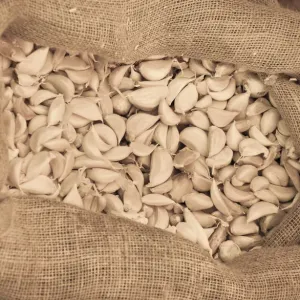Garlic -Allium sativum- in a jute bag Garlic -Allium sativum- in a jute bag