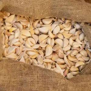 Garlic -Allium sativum- in a jute bag Garlic -Allium sativum- in a jute bag