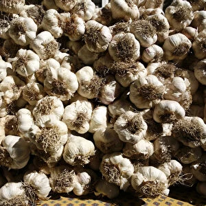 Garlic bulbs at a weekly market, Provence region, France, Europe