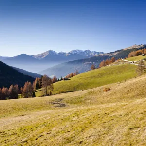Images Dated 2011 November: 12 Nov 2011