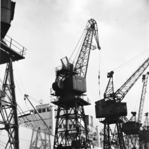 George V Dock Goose-Necked Cranes