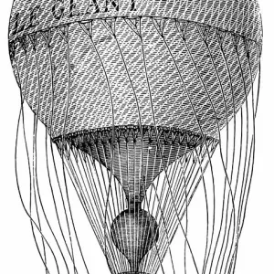 The Giant