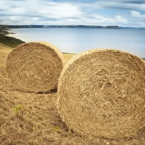 Giant hay stack Giant hay stack