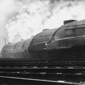 Giant Locomotives Print Giant Locomotives Print