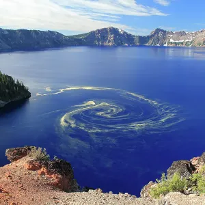 Giant swirl of pollen at Crater Lake National Park Giant swirl of pollen at Crater Lake National Park
