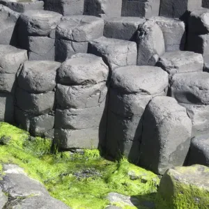 Giants Causeway, County Antrim, Northern Ireland Giants Causeway, County Antrim, Northern Ireland