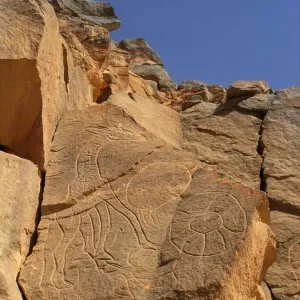 Giraffe Rock Carving Print from In Galghien, Fezzan Region Giraffe Rock Carving Print from In Galghien, Fezzan Region