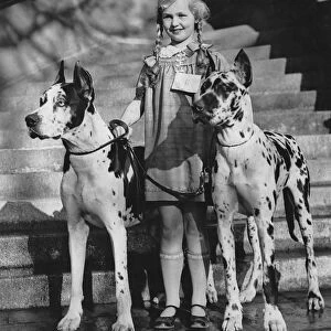 Girl With Great Danes