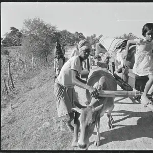 Images Dated 1971 December: 3 Dec 1971