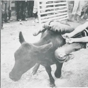 Images Dated 1975 September: 2 Sep 1975