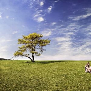 Girl sitting in a meadow with pine tree, Altmuehltal Nature Park near Titting, Bavaria, Germany, Europe