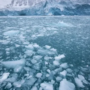 Spitsbergen Island Glacier Print Spitsbergen Island Glacier Print