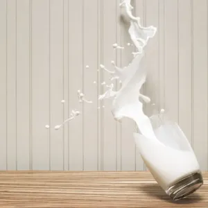 Glas of Milk Spilling Print on Stone Wall Glas of Milk Spilling Print on Stone Wall
