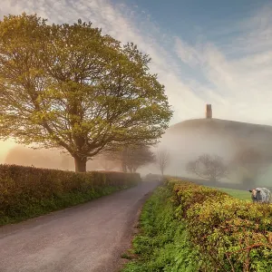 Glastonbury Tor Print Glastonbury Tor Print