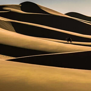 Gobi desert in Mongolia