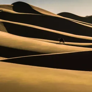 Gobi Desert Print, Mongolia Landscape Gobi Desert Print, Mongolia Landscape