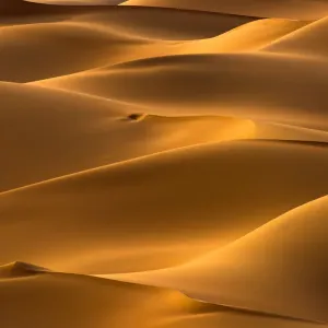 Gobi Desert, Mongolia Gobi Desert, Mongolia