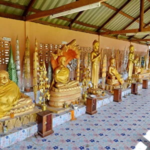 Gold buddha along Vat Phou champasak Lao, Asia