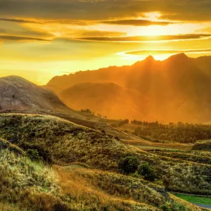 golden rollers | lake hayes