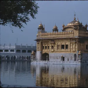 Images Dated 1984 November: 7 Nov 1984