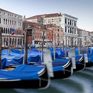 Gondolas on the Grand Canal, Canal Grande, in the morning, Venice, Venezien, Italy