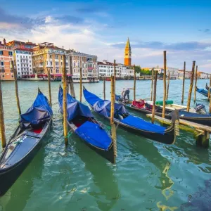 Gondolas moored in Grand Canal. Venice, Veneto, Italy Gondolas moored in Grand Canal. Venice, Veneto, Italy