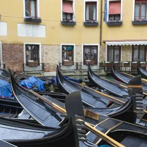Gondolas moored in Grand Canal. Venice, Veneto, Italy Gondolas moored in Grand Canal. Venice, Veneto, Italy