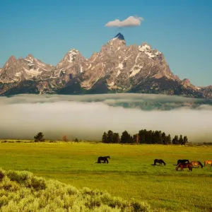 Good Morning Teton Good Morning Teton