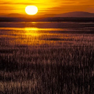 Goose Lake at sunset, Stillwater National Wildlife Refuge, Nevada