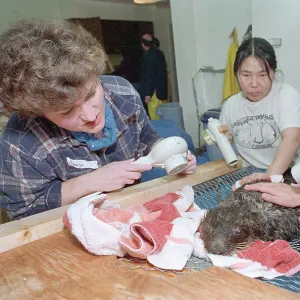 Images Dated 1989: March