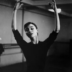 Graceful Dancer Graceful Dancer