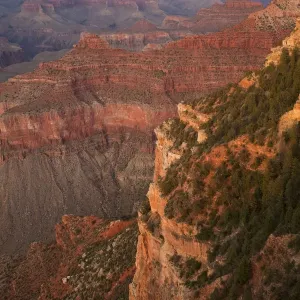Grand Canyon, Yavapai Point at Dusk