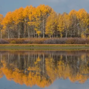 Grand Teton National Park Wyoming USA Grand Teton National Park Wyoming USA