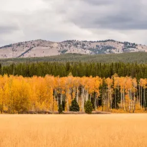 Grand Teton National Park Wyoming USA Grand Teton National Park Wyoming USA