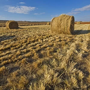 Grass Bales in remote Farm Landscape, North West Province, South Africa