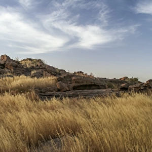 Grassland on top of Bandiagara Escarpment