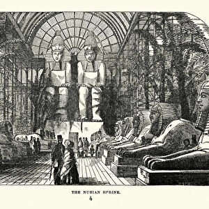 The Great Exhibition 1851 - The Nubian Court