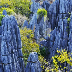 Images Dated 2011 December: 11 Dec 2011